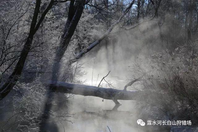 逃离魔王城堡